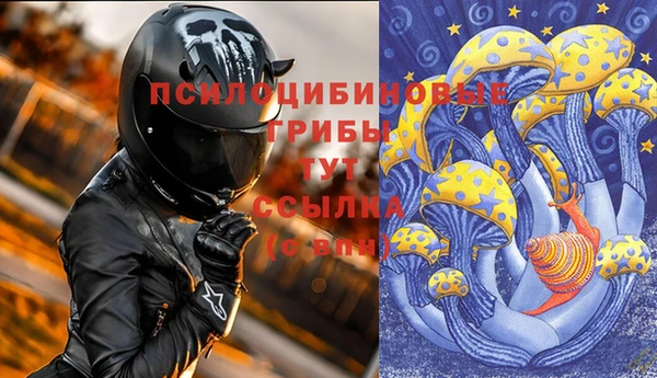 МДМА Дмитровск