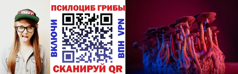 ссылка на мегу как зайти  Козельск  Псилоцибиновые грибы прущие грибы 